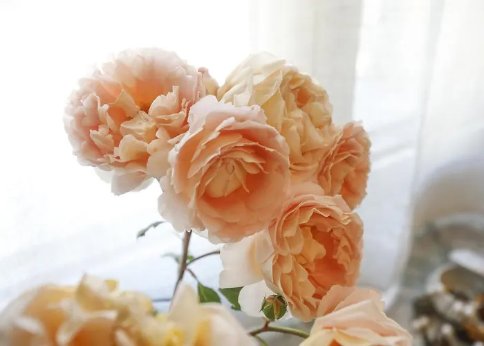 Liostasi Maison Provencale